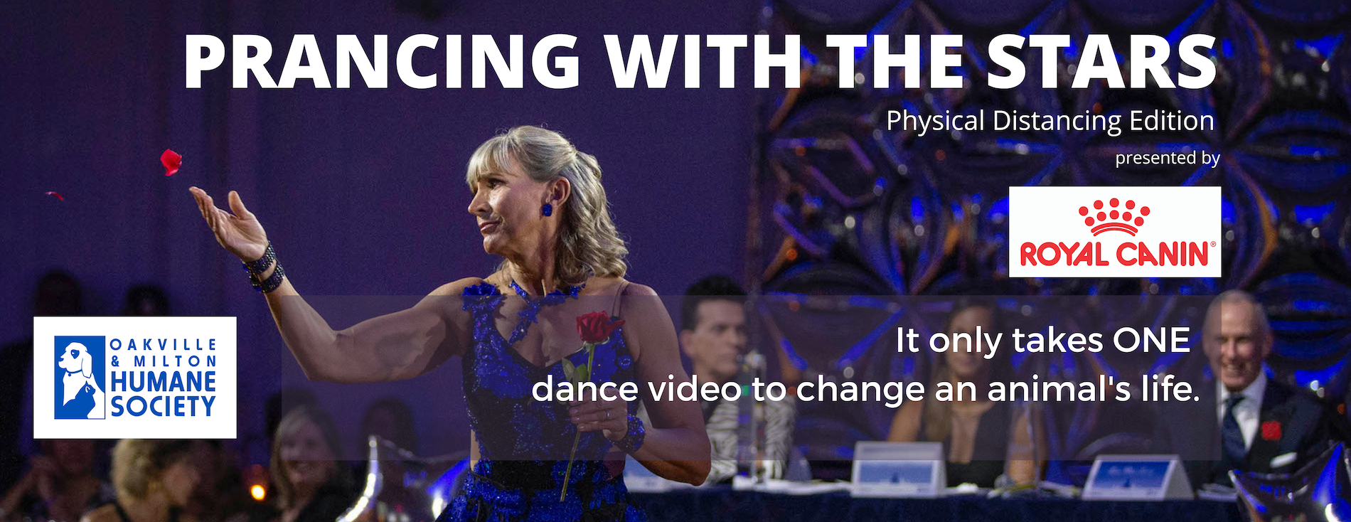 Prancing with the Stars - Physical Distancing Edition